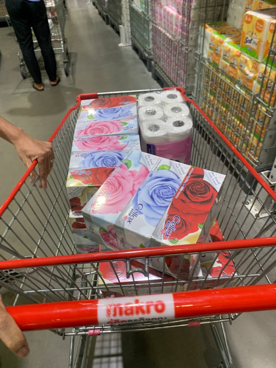 Modern Trade Distribution of Cellox and Hygienist Products by BJC at Makro Cambodia - Image 23